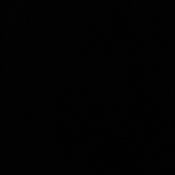 Meet your Posher, Peyton - Picture 1 of 1